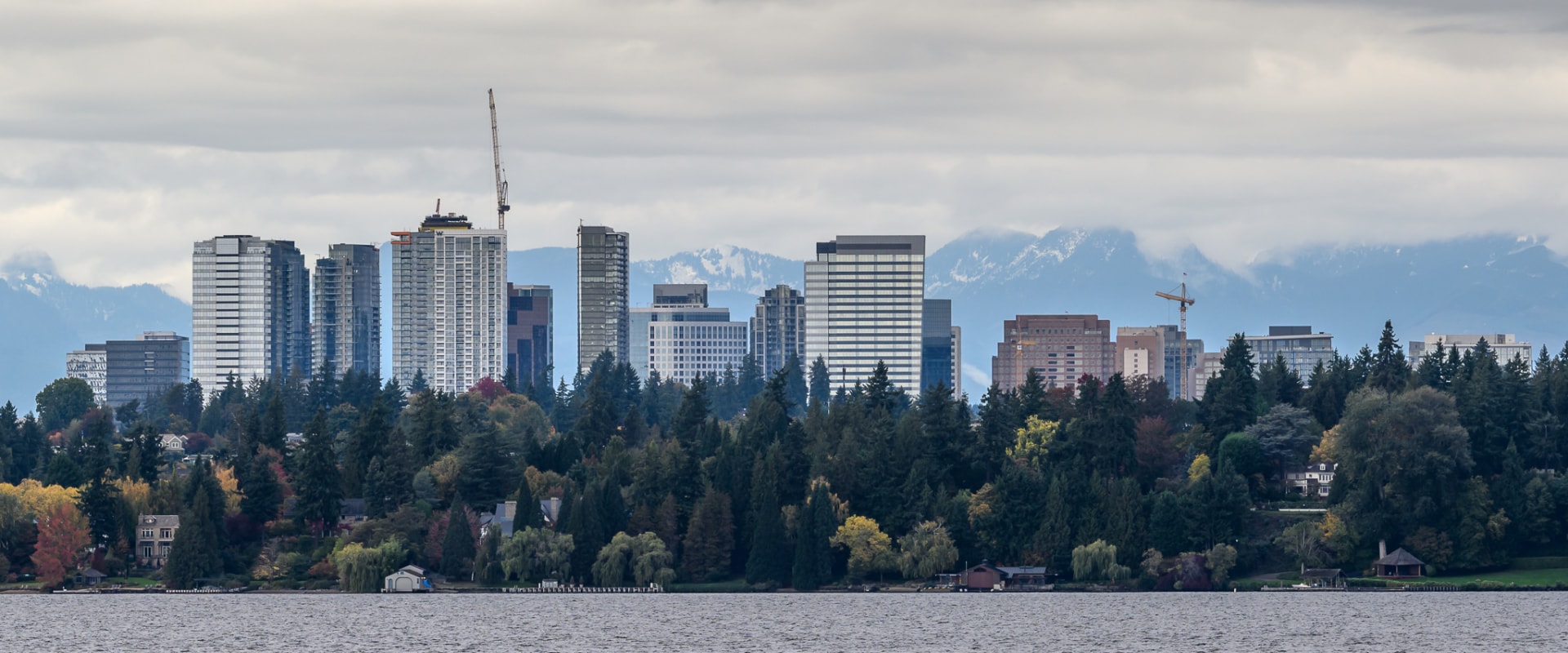 Industries Driving Economic Growth in Belview: A Comprehensive Overview